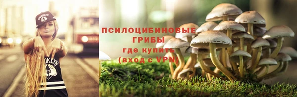 ешки Тайга