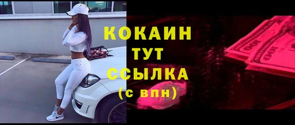 ПСИЛОЦИБИНОВЫЕ ГРИБЫ Алагир