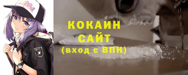 дмт Тавда