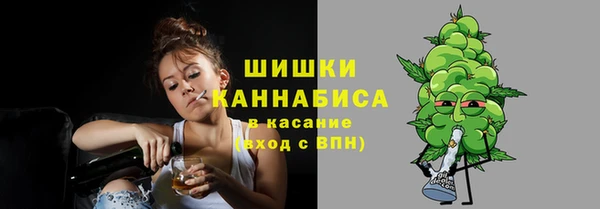 дмт Тавда