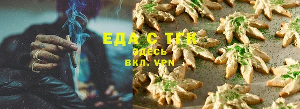 ешки Тайга