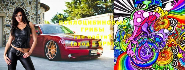ешки Тайга