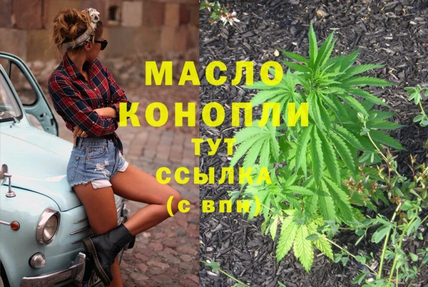 дмт Тавда