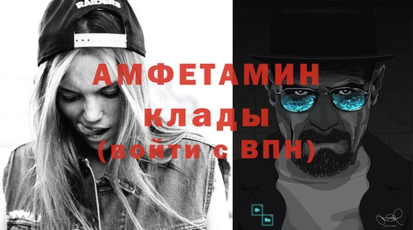 дмт Тавда