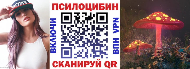 как найти закладки  Сухиничи  Галлюциногенные грибы Psilocybe 